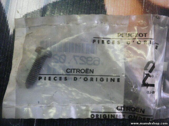 CBL Schraube Citroen Peugeot 692702 6927 02