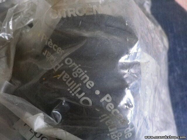 Citroen Peugeot 509474 5094.74