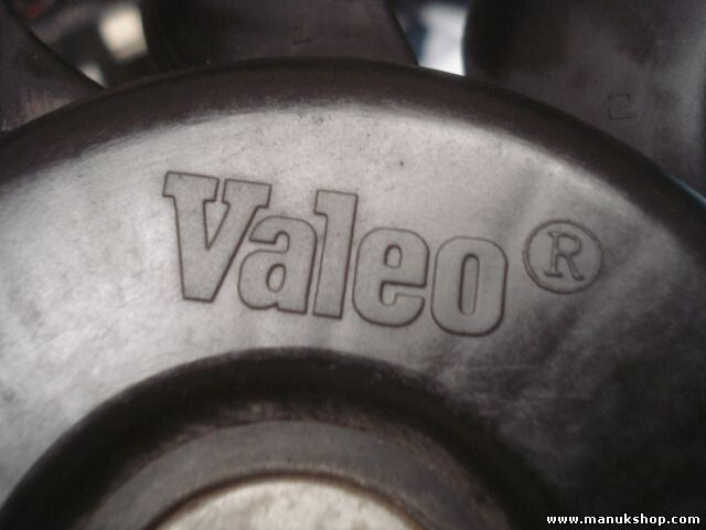 Lüftermotor Kühlerventilator Audi A6 A4/S4 8E/8H VALEO 867007X FC 1039