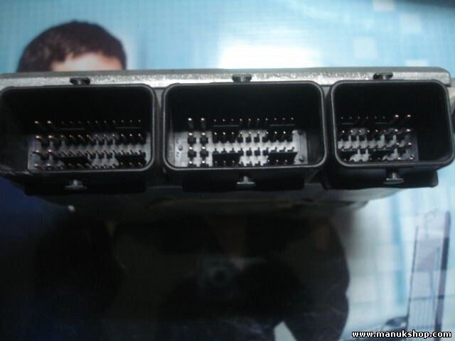 Motorsteuergerät Renault Megane Clio 8200222133 8200153945 1039S00273 0281011102