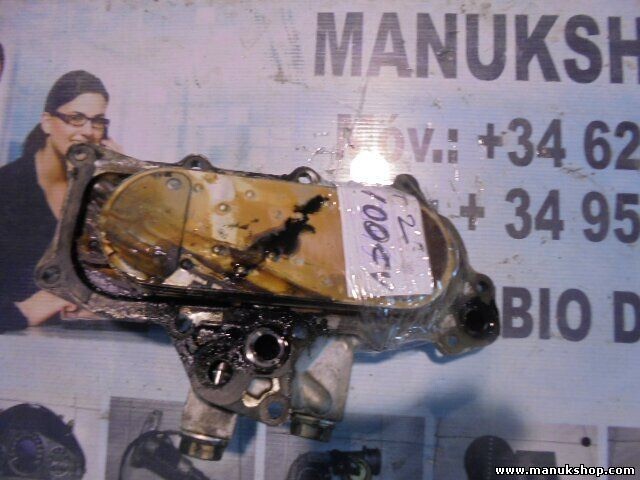 Zylinderkopfdeckel Nissan Terrano R20 T2 Ford Maverick 4WD TD27T 100CV 3311