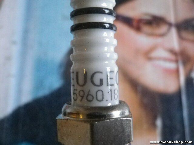 Citroen Peugeot BOSCH 596018 5960.18
