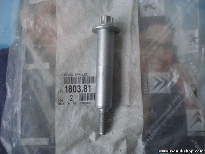 Abgesetzte Schraubenachse Citroen Peugeot 180381 1803.81