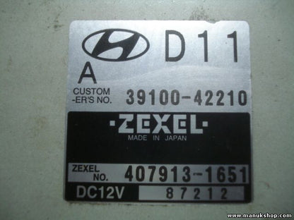 Motorsteuergerät Hyundai Starex H1 D11 3910042210 4079131651 ZEXEL DC12V