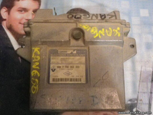 Steuergerät Renault Clio Kangoo LUCAS HOM7700868300 7700114868 R04080010G