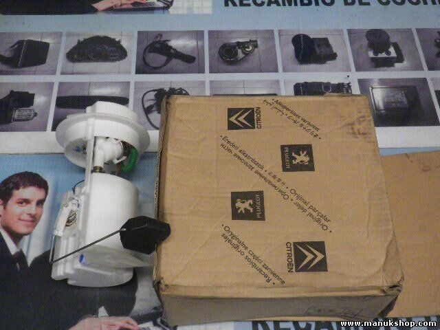Kraftstoffpumpe Citroen Peugeot 1525C6 1525 C6