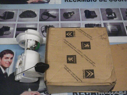 Kraftstoffpumpe Citroen Peugeot 1525C6 1525 C6