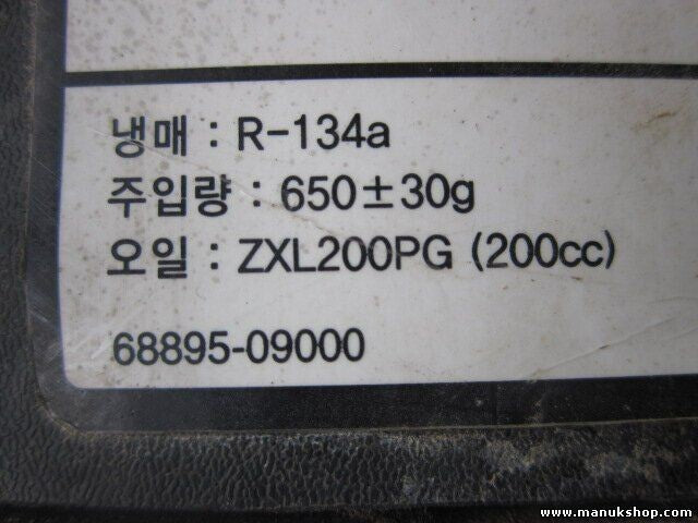 Luftfilterkasten SsangYong 2352031060 2311031072 R-134a 6889509000  ZXL200PG