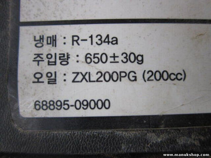 Luftfilterkasten SsangYong 2352031060 2311031072 R-134a 6889509000  ZXL200PG